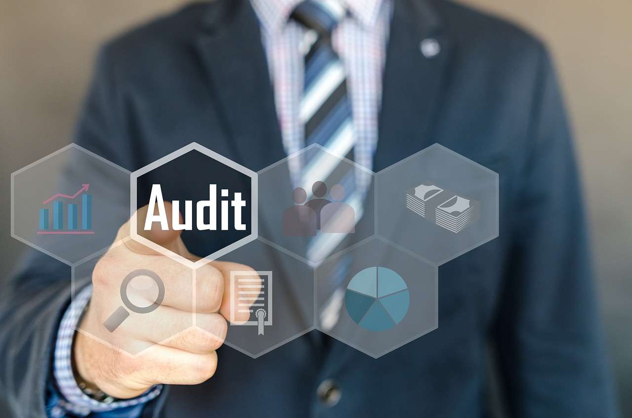 Robust Internal Audit